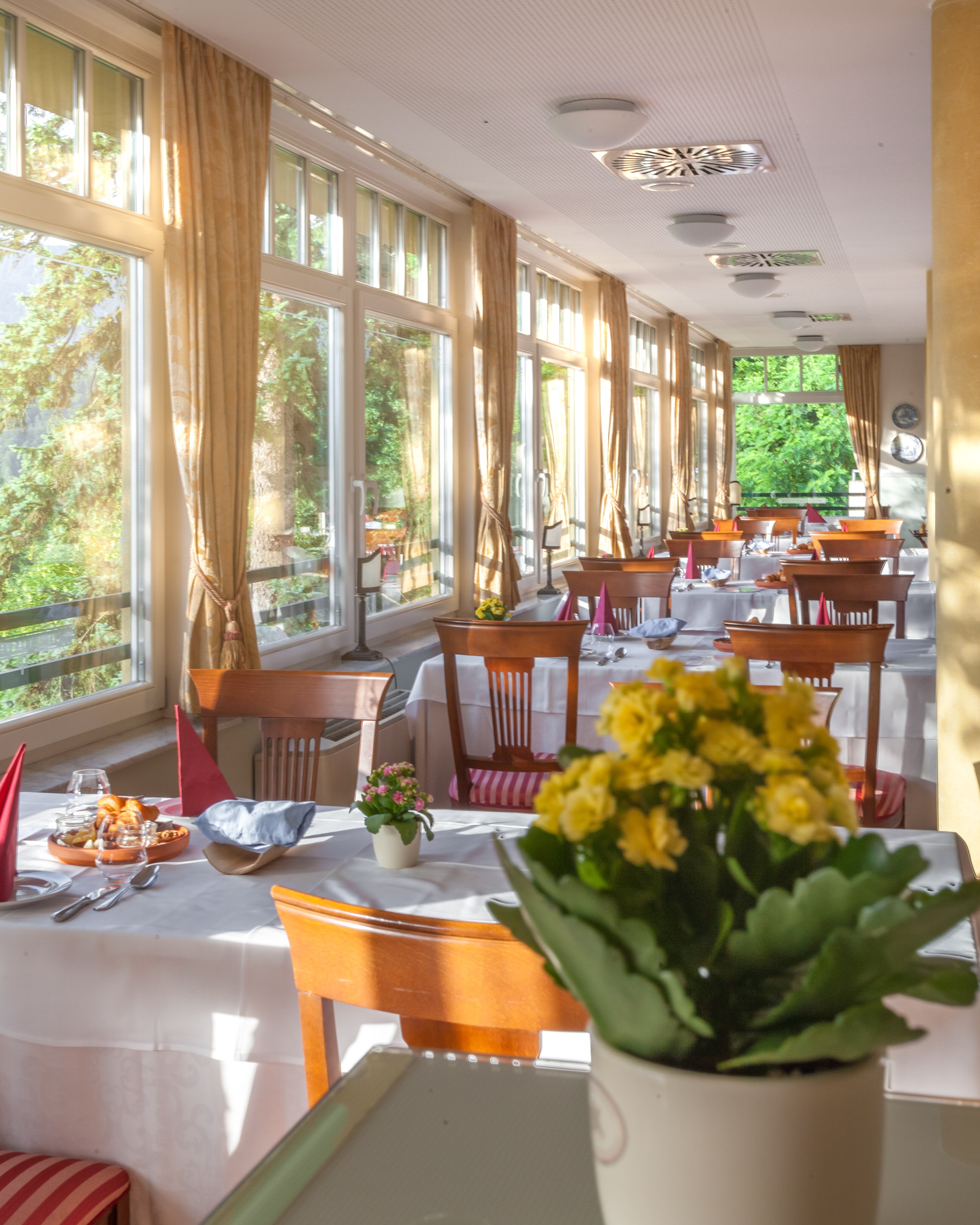 Hotel Triglav Bled-餐饮