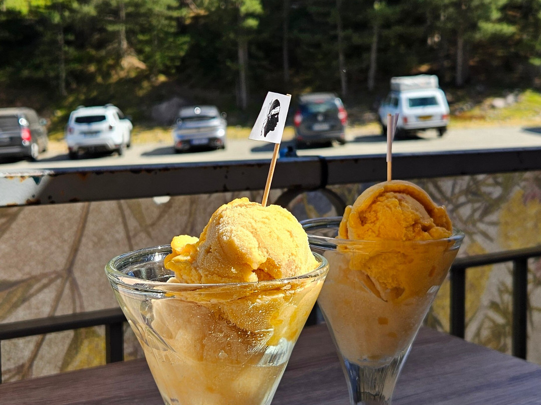 Hotel le Chalet主图