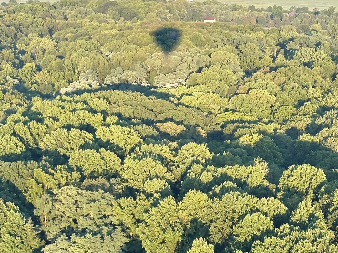 Midwest Balloon Rides-Fishers必去景点