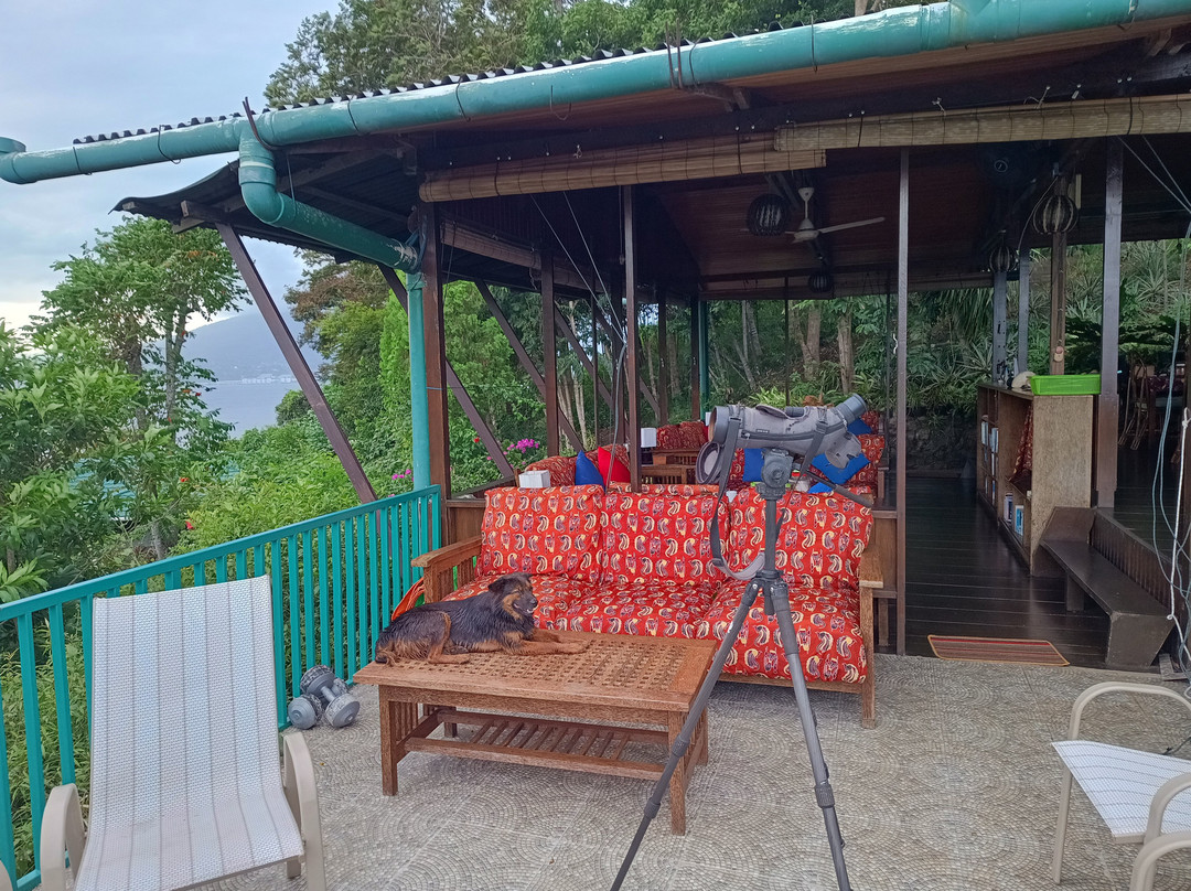 Divers Lodge Lembeh主图