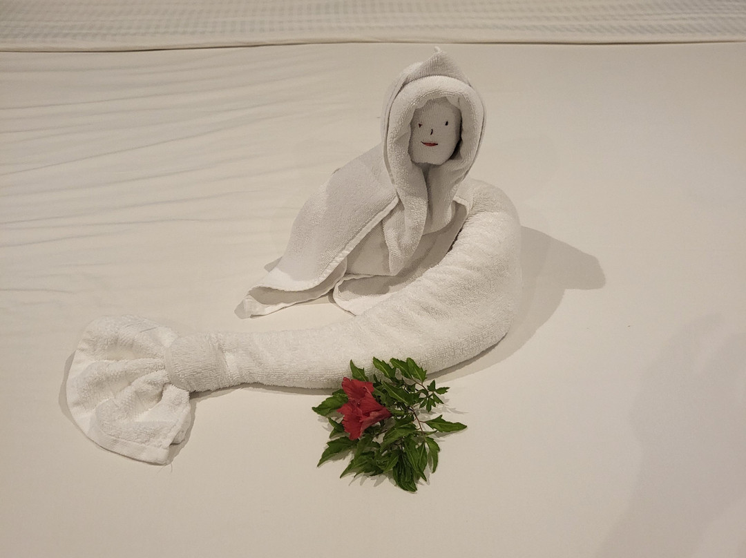 安卡菊海滩度假酒店主图