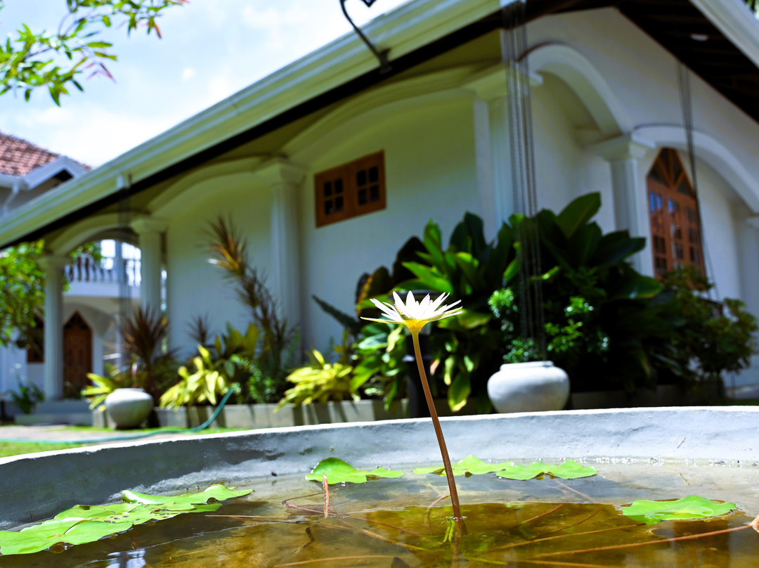 伊甸园假日村庄酒店主图