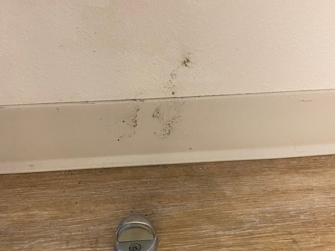 Holiday Inn Express & Suites Jasper By IHG主图