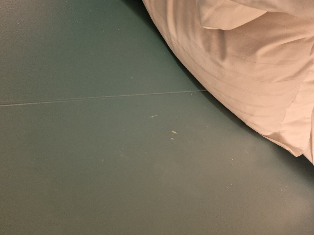 Lamb Inn Ongulsstadir主图