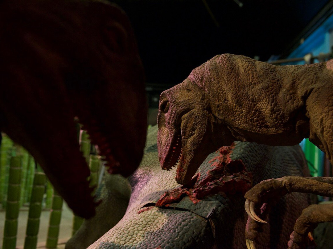 Jurassic Discovery