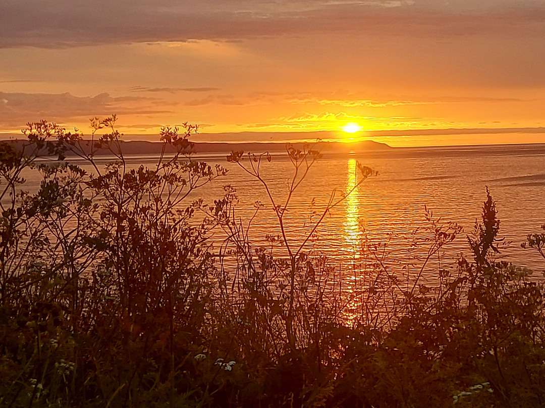 Guesthouse Lyngholt主图