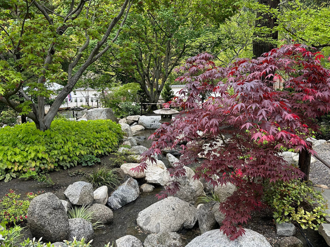 利西亚公园-阿什兰必去景点