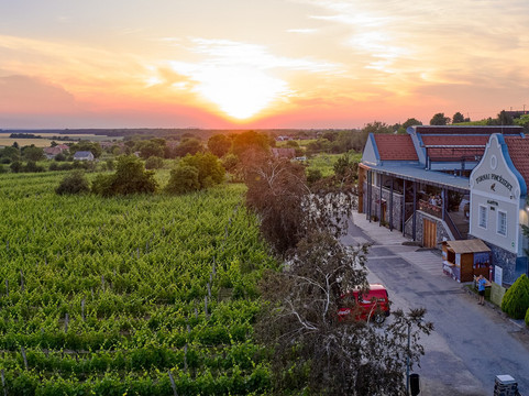 Tornai Winery-somló