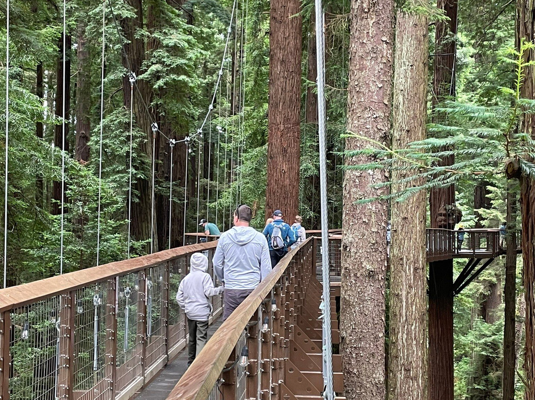 Sequoia Park景点图片