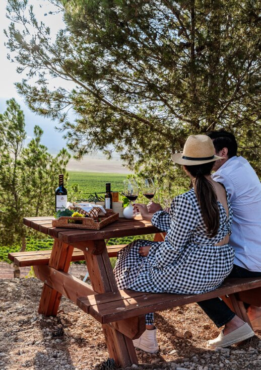 Bodega Pago de Cirsus主图