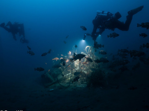 Marissa Dive Charters-圣地亚哥必去景点