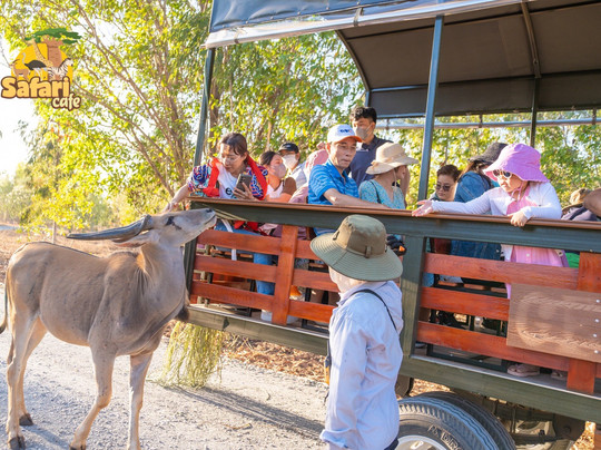 Safari Cafe-藩切市必去景点