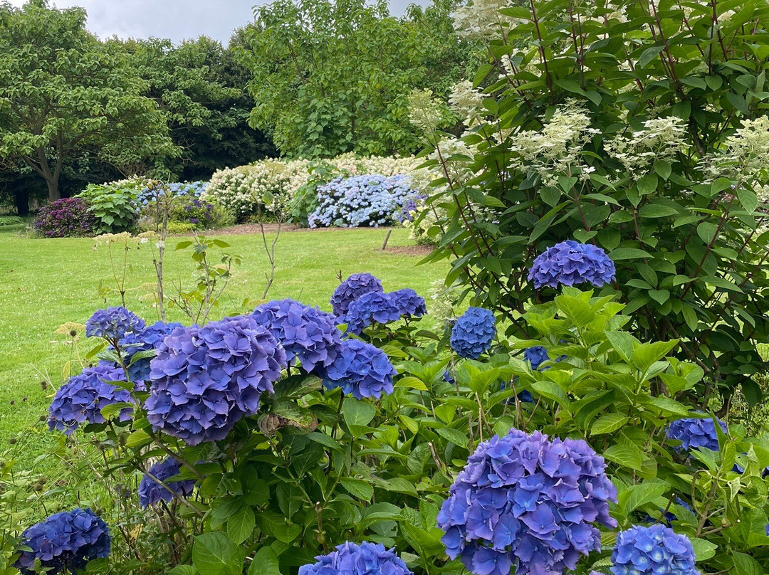 Jardin Shamrock景点图片