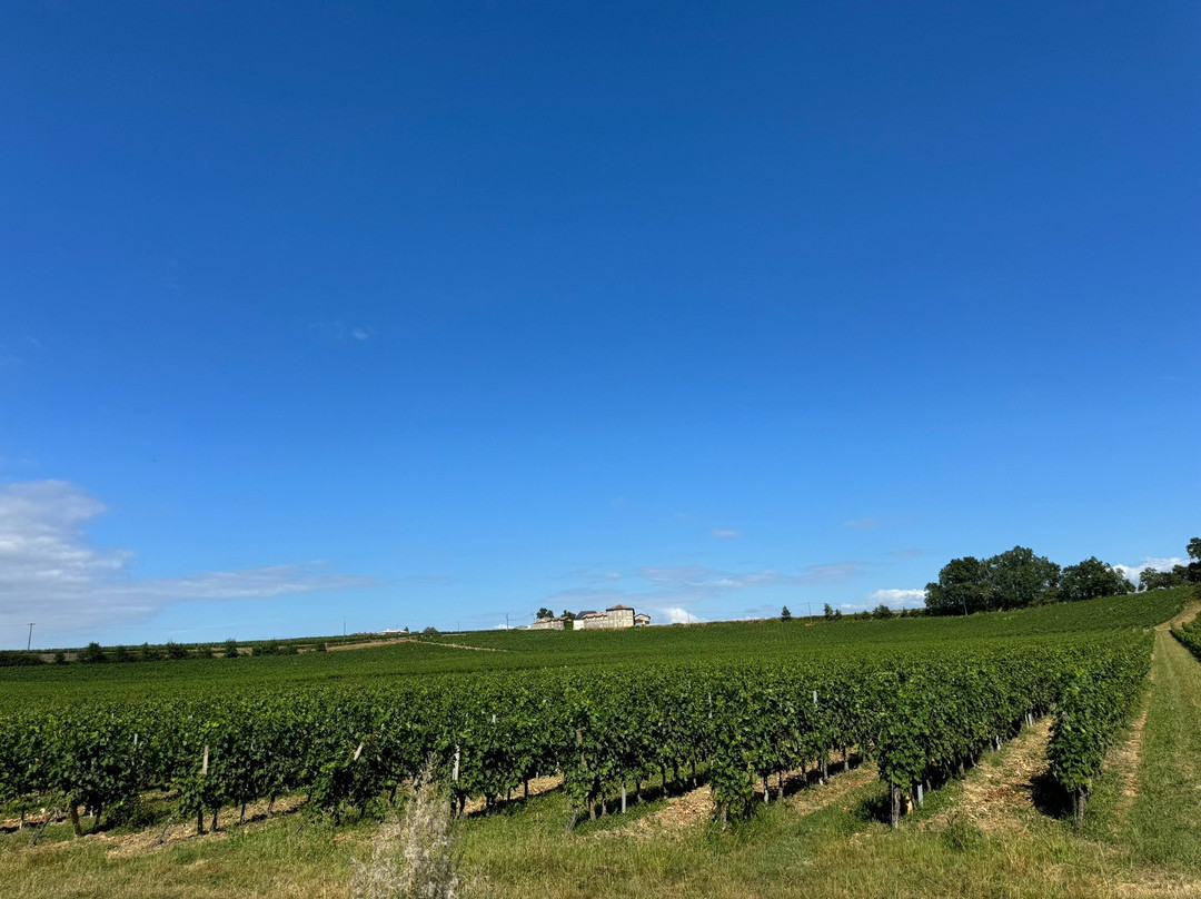 皮埃尔玫瑰住宿加早餐旅馆主图