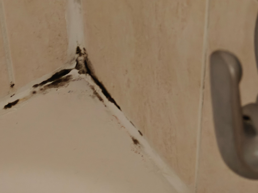 Quality Inn & Suites at Binghamton University主图