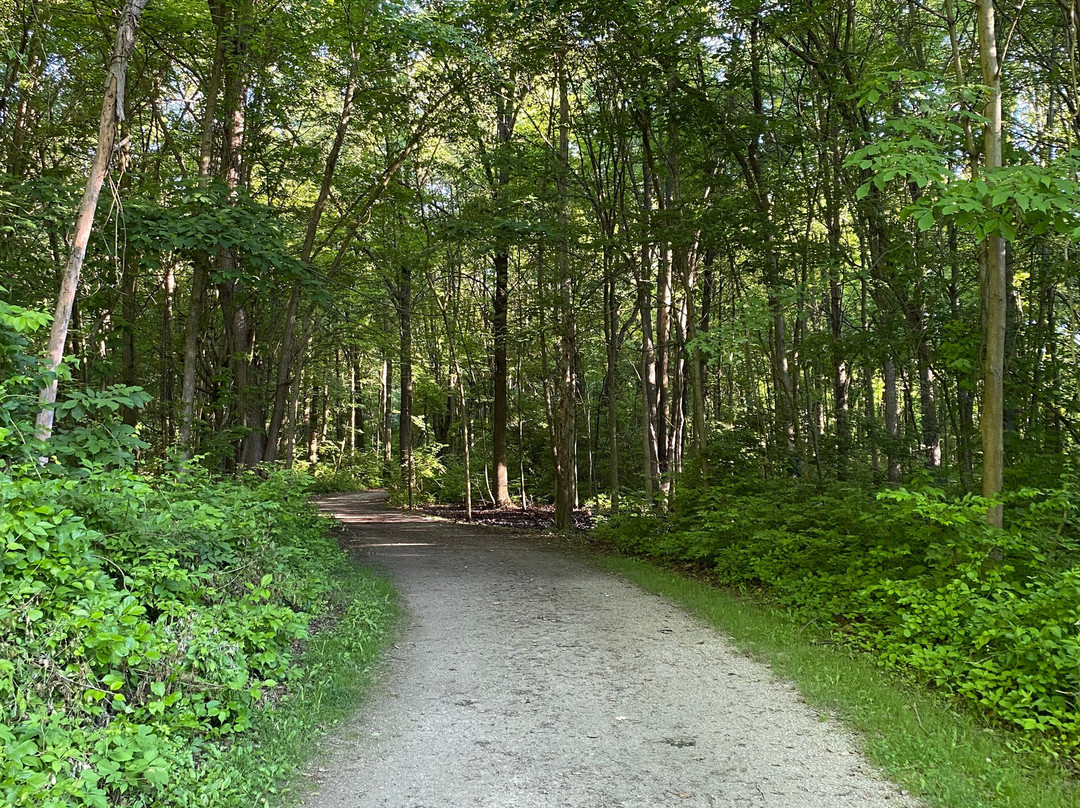 Wildwood Metropark-托莱多必去景点