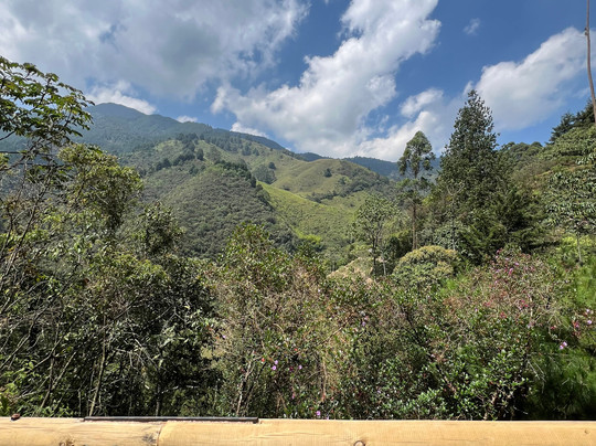 AvenTerra-麦德林必去景点