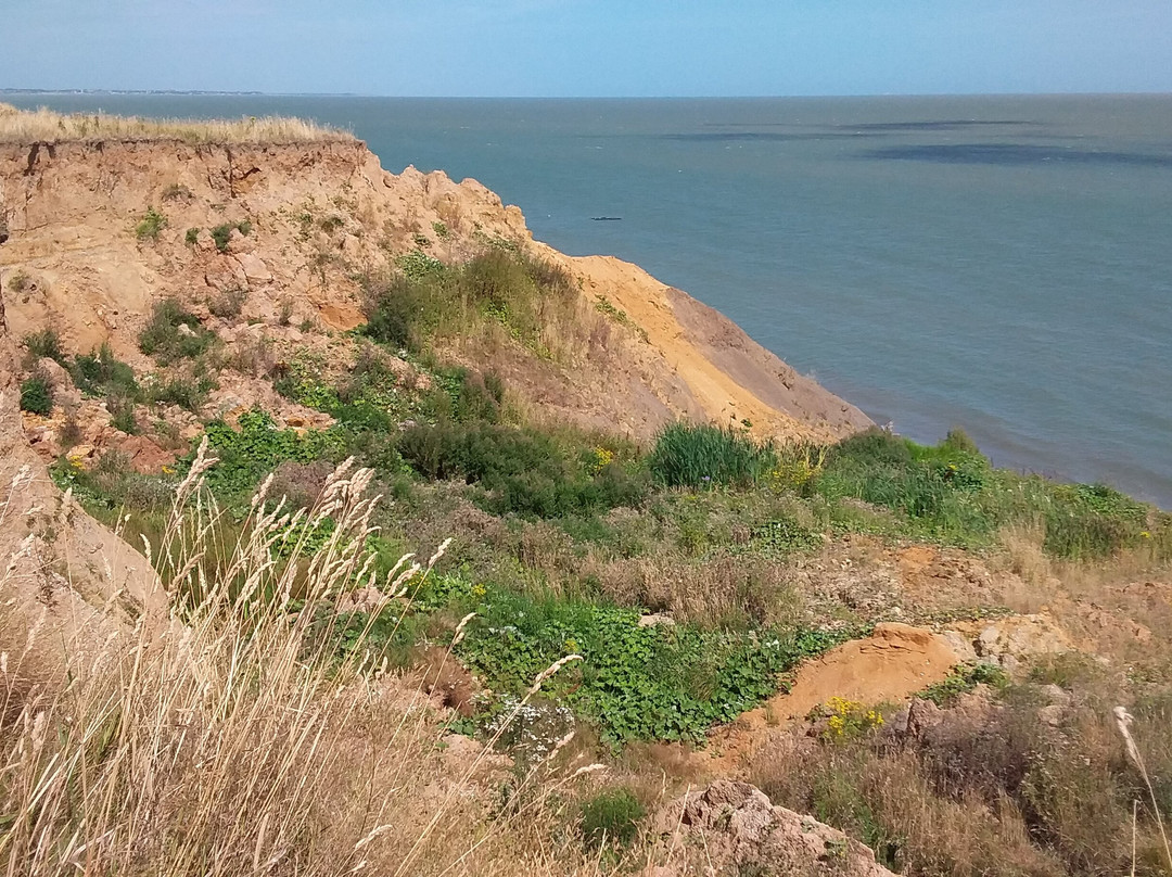 The Naze Tower景点图片