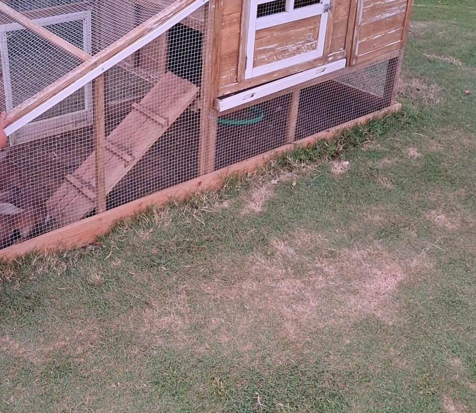 Agriturismo Acquachiara主图