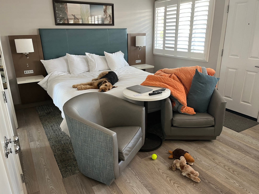 玛丽娜海滩汽车旅馆主图