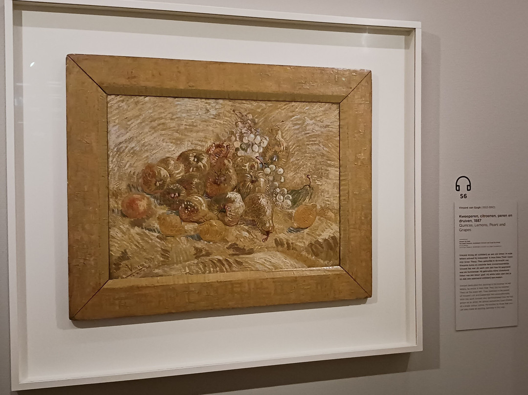 Babylon Tours Amsterdam-阿姆斯特丹必去景点