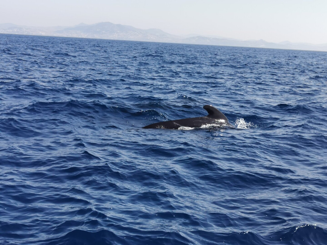 Top Tarifa-塔里法必去景点