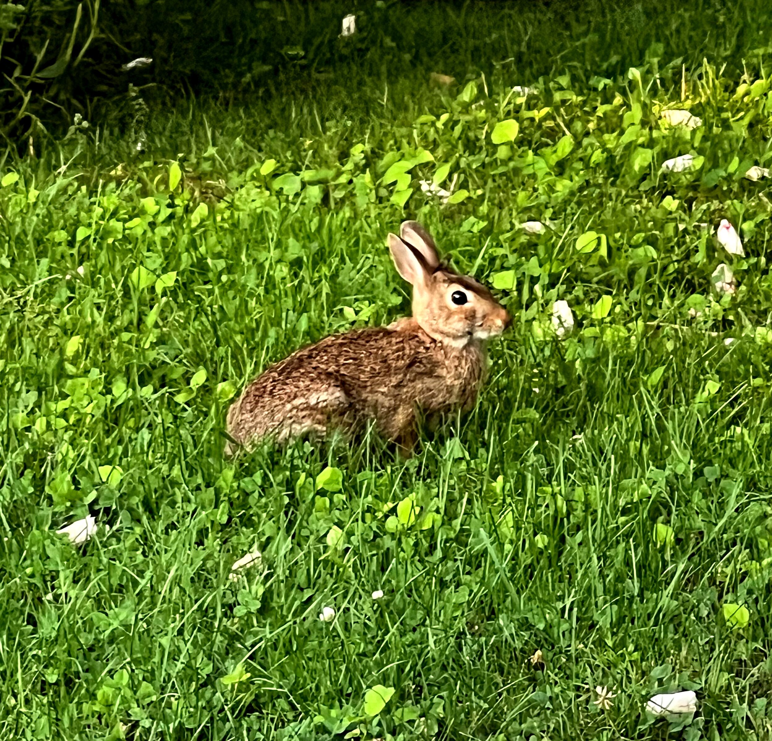 Liberty Hill Inn-浴室