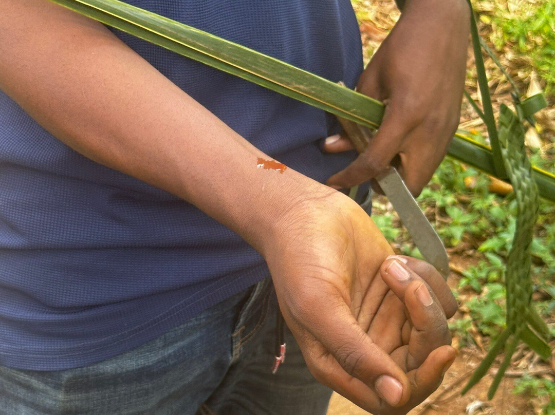 ZanTours Ltd-桑给巴尔市必去景点