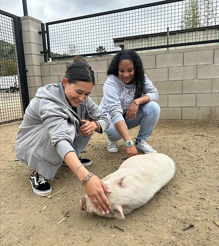 Love Always Sanctuary-洛杉矶必去景点