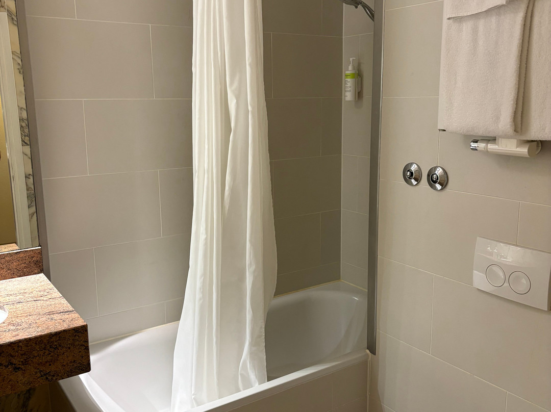 法兰克福展馆Soaltee Hotel by Trip Inn主图