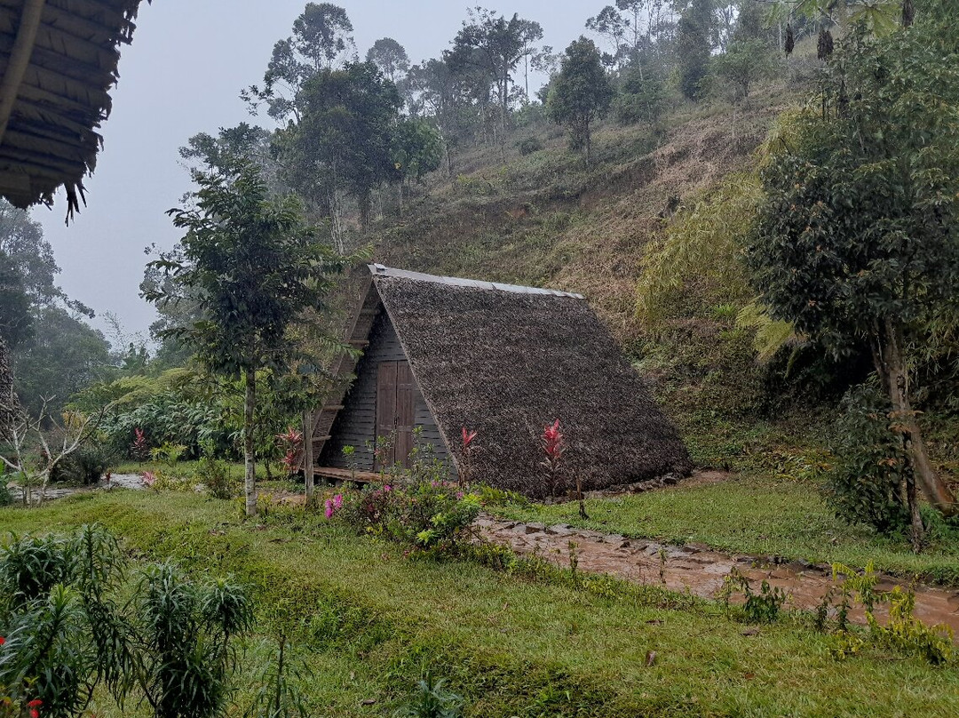 Vohimana must be VOIMMA景点图片