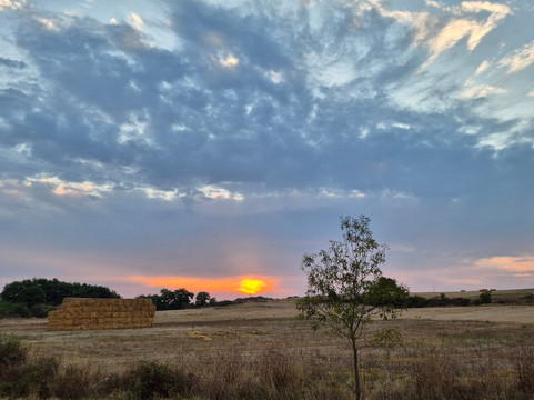 Farmhouse il Canneto主图