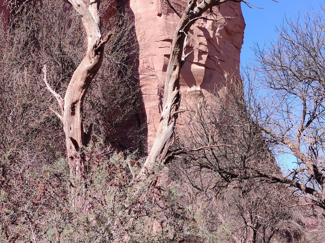 Parque Nacional Talampaya景点图片