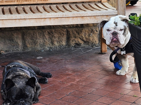 Bulwell Forest Golf Club-诺丁汉必去景点