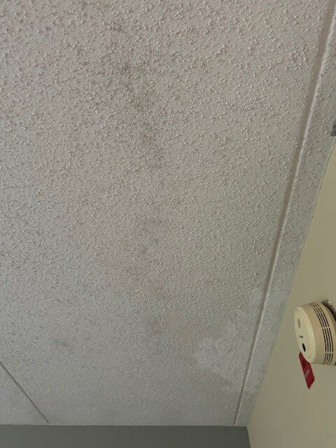 Hampton Inn Philadelphia-International Airport主图