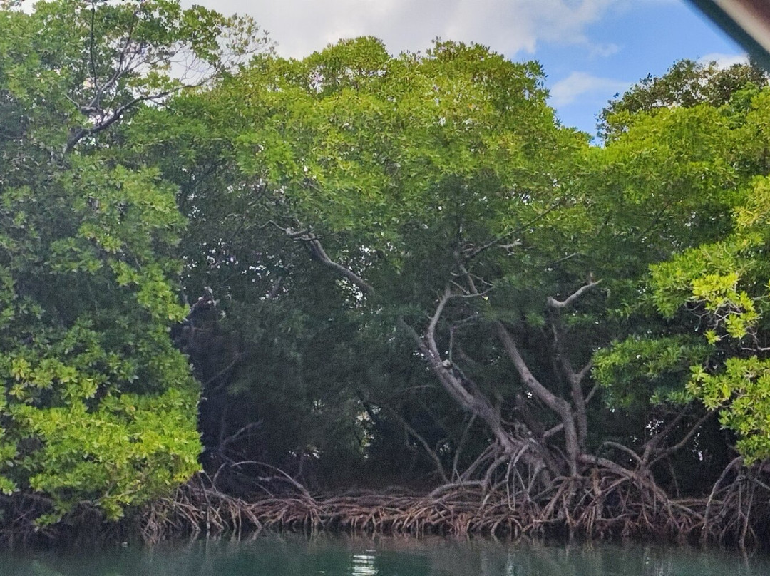 Privilèg'G-Le Francois必去景点