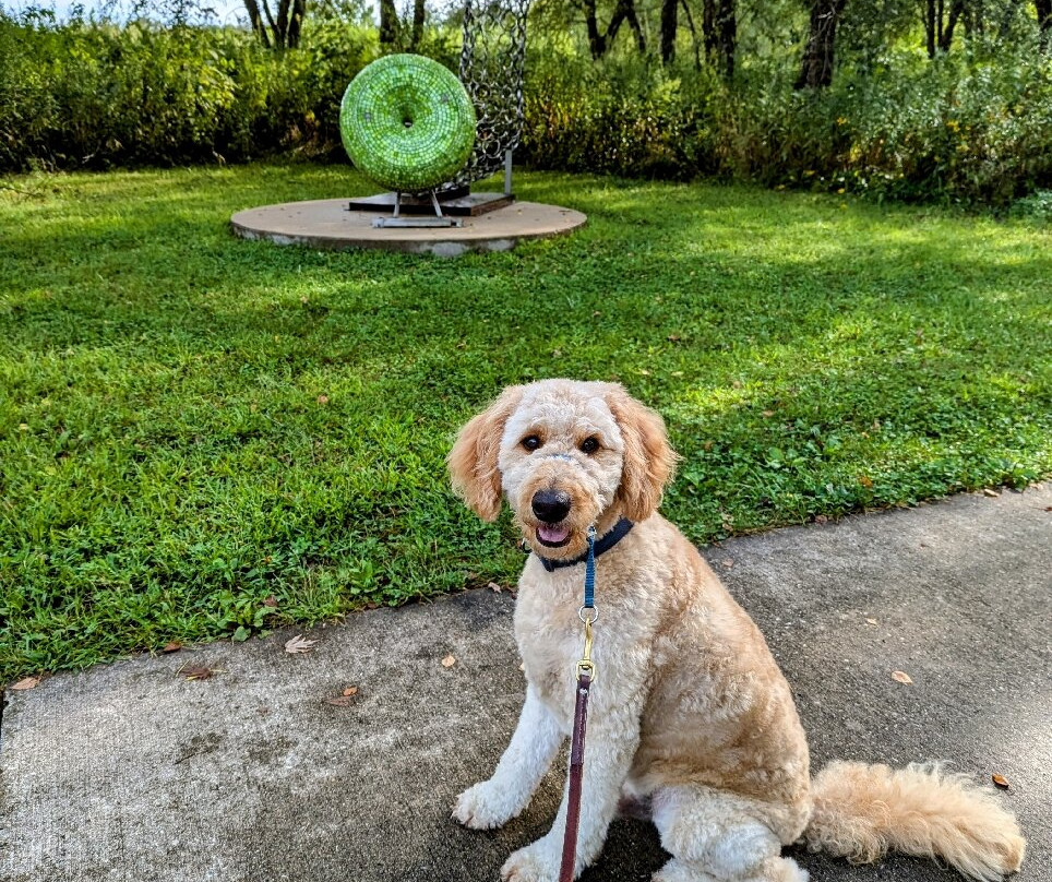 Meadowbrook Park-厄巴纳必去景点