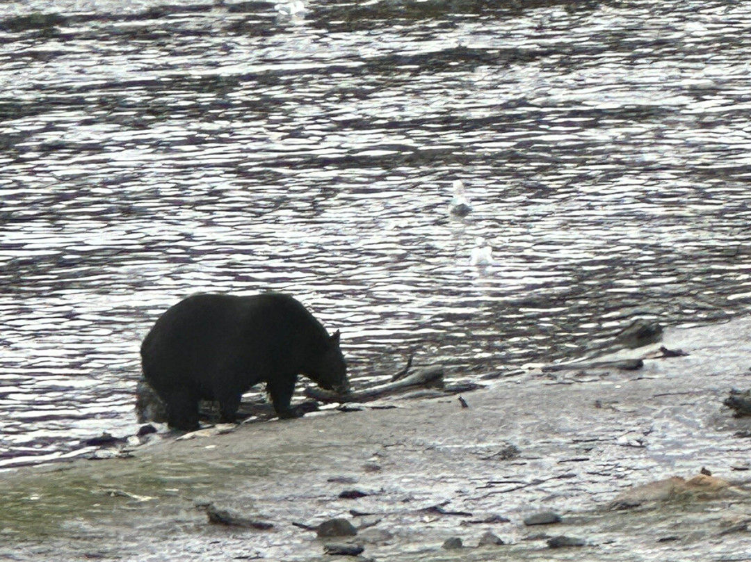 Herring Cove-凯奇坎必去景点