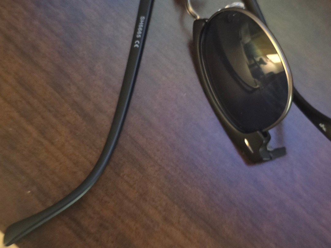 The Lazy Lizard-棕榈/鹰海滩必去景点