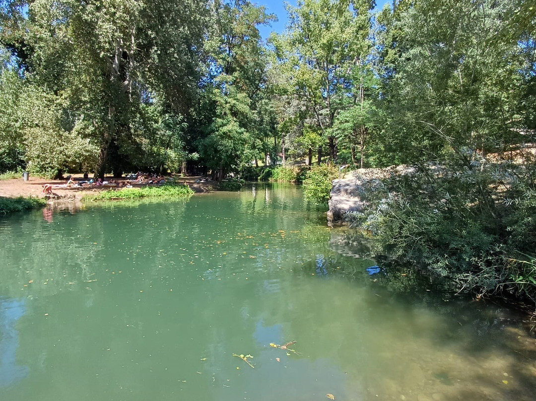 Parco della Rana景点图片