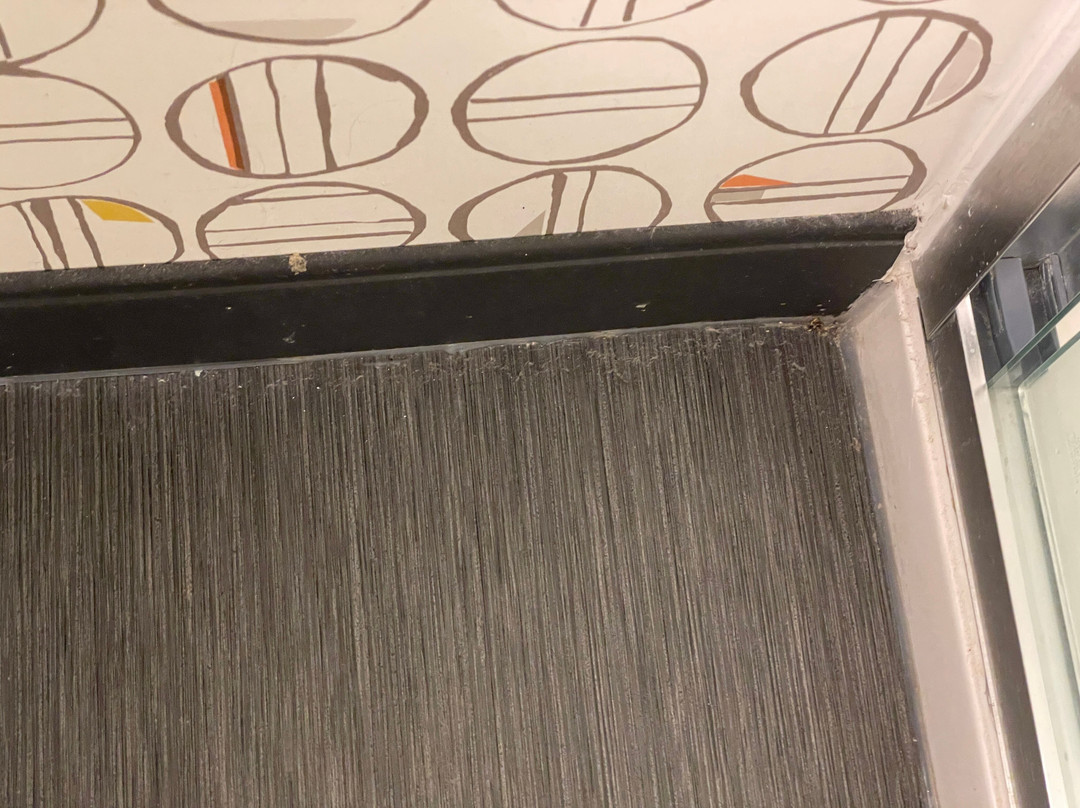 Holiday Inn & Suites Farmington Hills - Detroit Nw By IHG主图