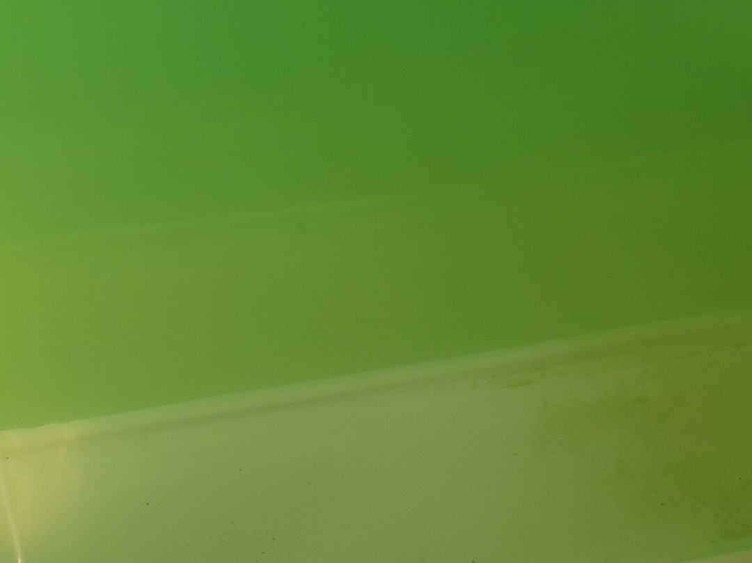 Best Western El-Quartelejo Inn & Suites主图