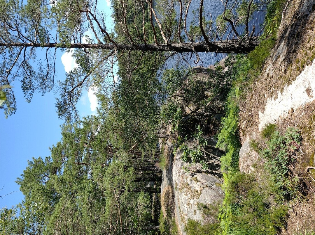 Anggardsbergens Naturreservat景点图片