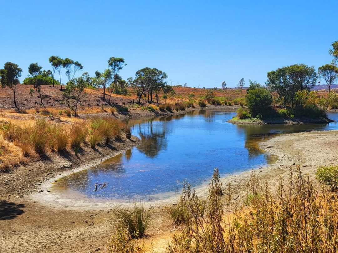 Parque Mata Da Conceicao-null必去景点