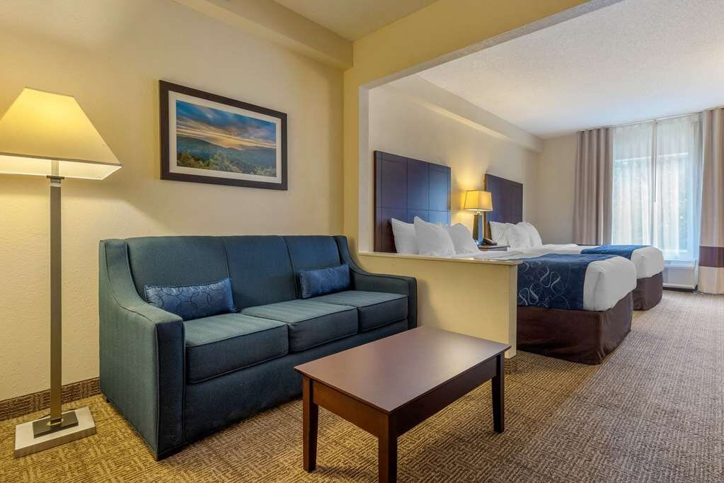 Comfort Suites Gastonia - Charlotte主图