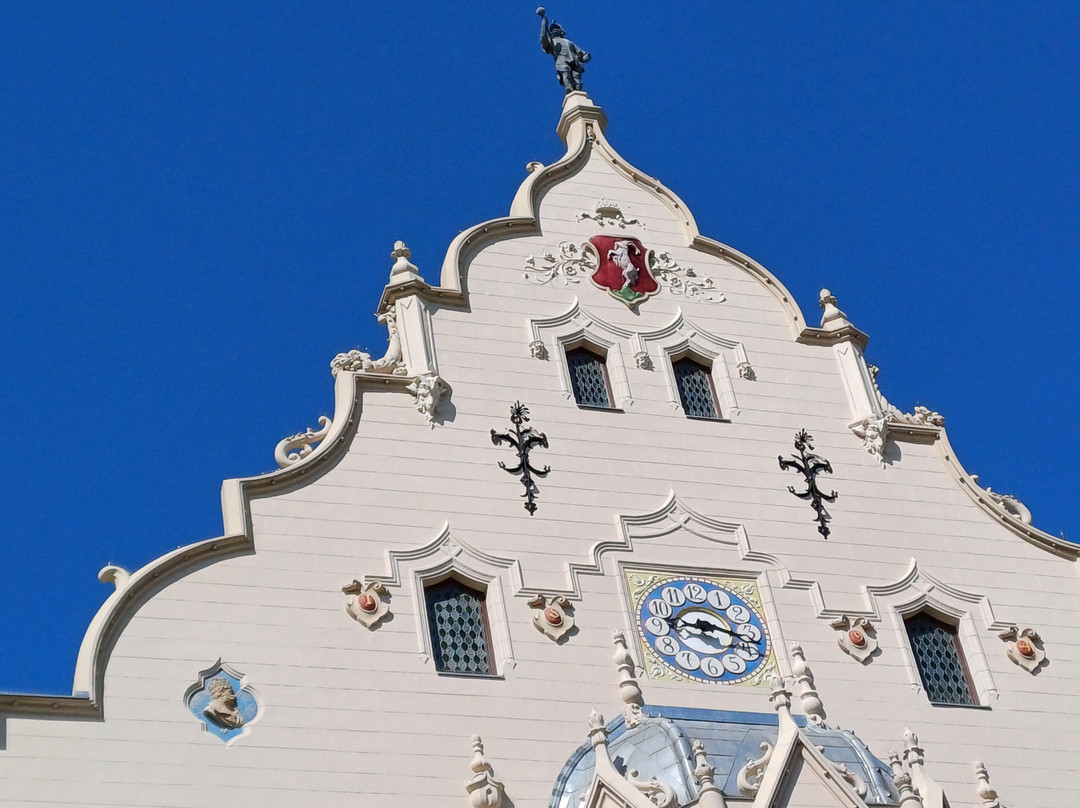 Kecskemét Town Hall景点图片