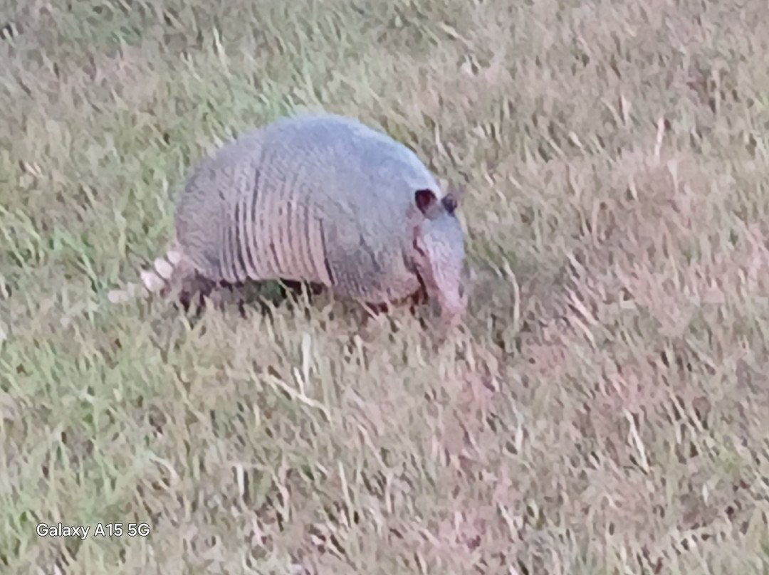 High View Park-恩尼斯必去景点