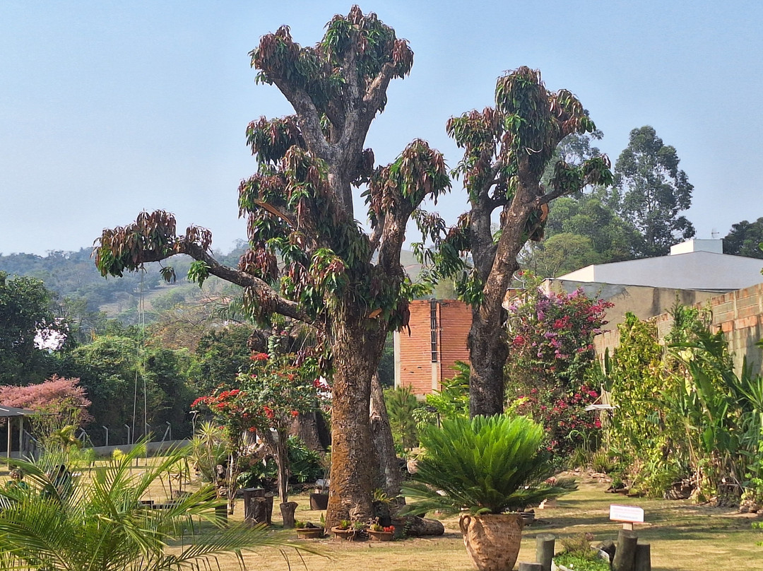 Hotel Santiago 33主图