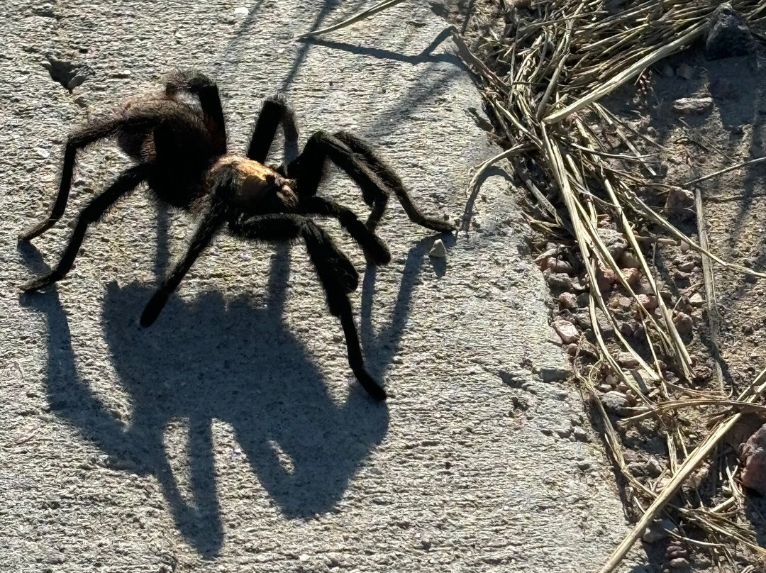 Four Mile Ranch Golf Club-卡农城必去景点