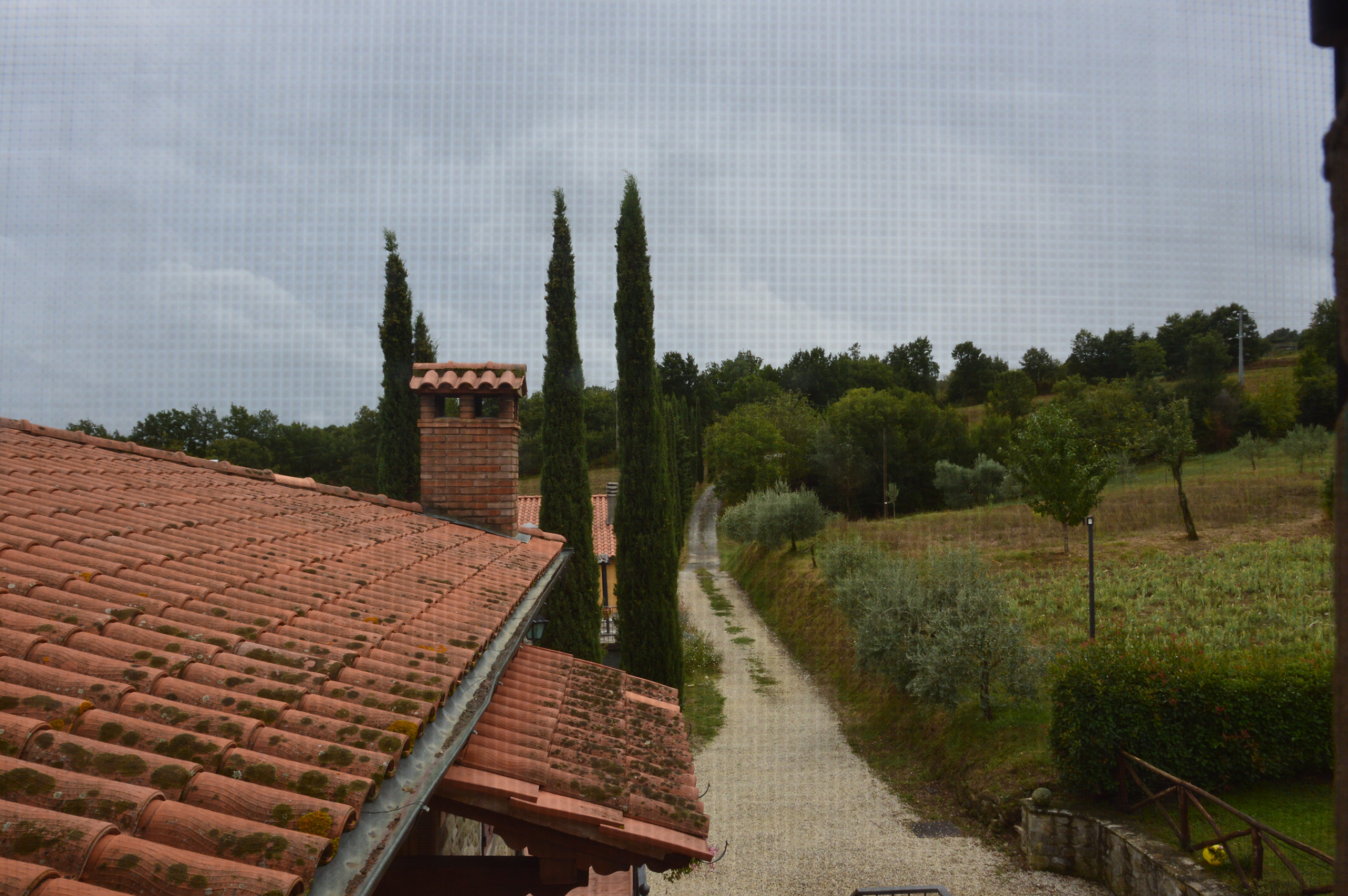 Agriturismo La Casina-官方